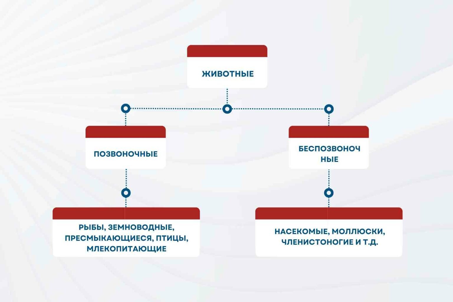 использование схем и таблиц для улучшения памяти