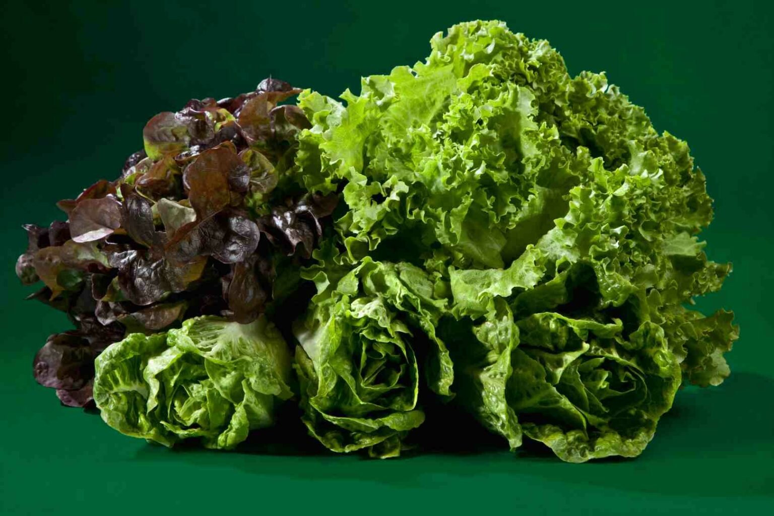 какие продукты улучшают память